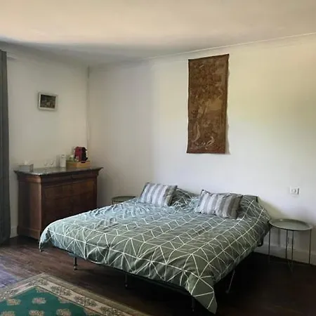 Chateau De La Grange 4* Celle-Levescault